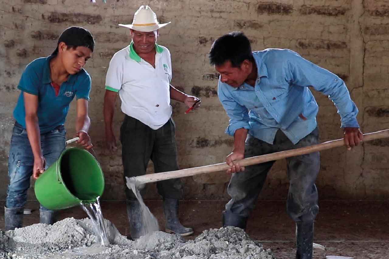 Manuel Simeón Pu, productor de tomate y cebolla