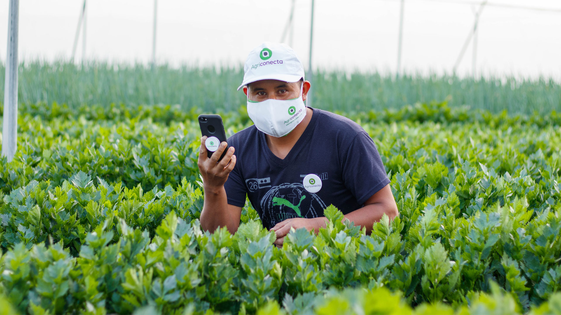 aplicacion agriconecta tecnologia